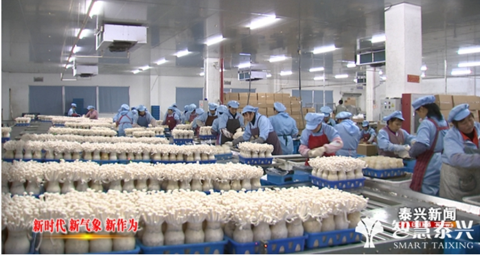 市農產品加工園區 引進稅源型項目，奮力沖刺“百億”規模