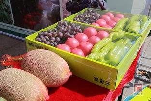 豐收盛典 2019第二屆中國農民豐收節特色農產品和非遺工藝展盛大啟幕