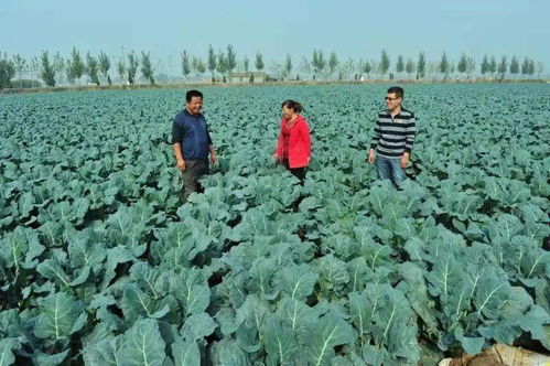 臨沂市農產品質量安全監管與執法能力提升紀實