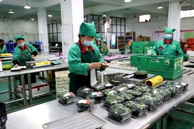 阿里整合數字化農業資源，陜西將建盒馬村助力農產品升級