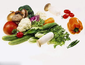 商丘農產品 天然饋贈，新鮮直達