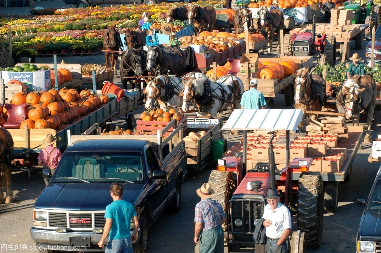 農產品拍賣會上的農民 從田間到市場的光榮與挑戰