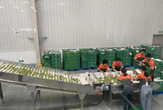 農產品貯藏與加工 基礎理論與關鍵技術概述