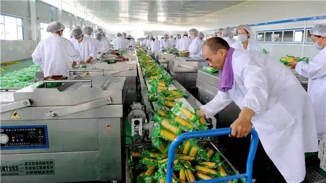 從田間到舌尖的增值密碼 農產品深加工如何開啟致富新路