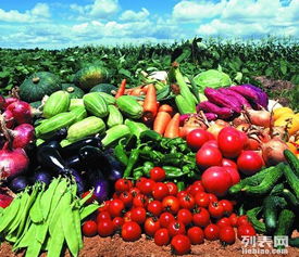 東莞工廠食堂一體化餐飲服務解決方案 蔬菜配送、食堂承包與糧油農產品供應