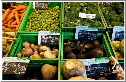 借鑒美日德經驗，構建大深度農產品滯銷化解體系