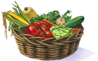 節后菜市場行情速遞 農產品價格穩中有變，市民選購更理性