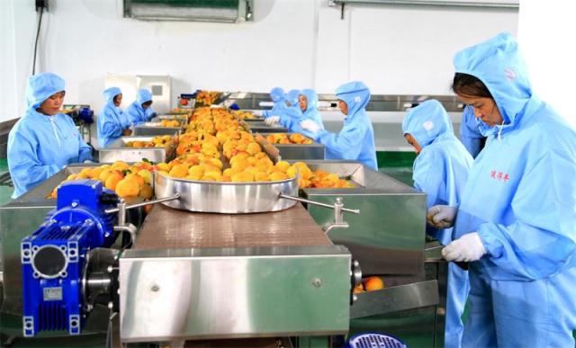 三都農(nóng)產(chǎn)品深加工項目正式投產(chǎn)，開啟鄉(xiāng)村振興新篇章